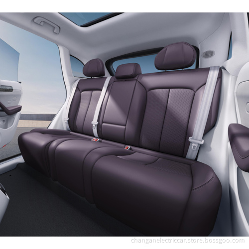 Leapmotror C11 Premium Electric Vehicle